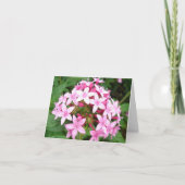 ピンクの花束v2 カード (正面)