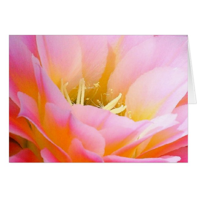 ピンクの花柄でかわいらしい (正面横)