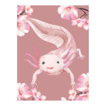 ピンクの花柄のウーパールーパー ポスター