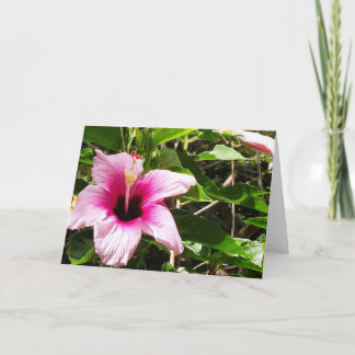 ピンクの花柄の表紙のグリーティングカード カード
