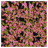 ピンクの花柄 ファブリック (クローズアップ)