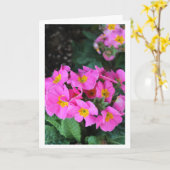 ピンクの花柄-義理の姉妹の誕生日 カード (黄色い花)