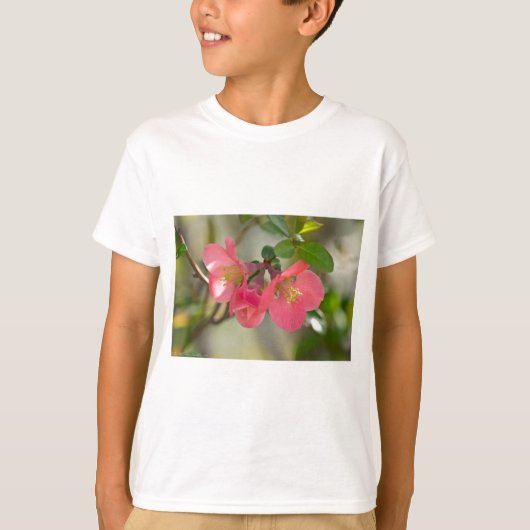 ピンクの花梨の輝き Tシャツ (正面)