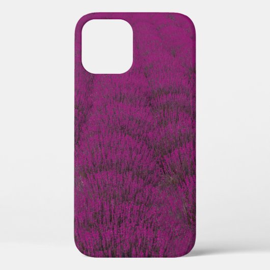 ピンクの花畑 Case-Mate iPhoneケース (裏面)