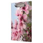 ピンクの花盛りの枝クリップボード クリップボード (左)