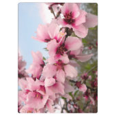 ピンクの花盛りの枝クリップボード クリップボード (裏面)