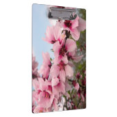 ピンクの花盛りの枝クリップボード クリップボード (右)