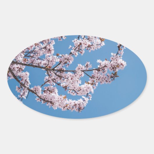 ピンクの花空 楕円形シール (正面)