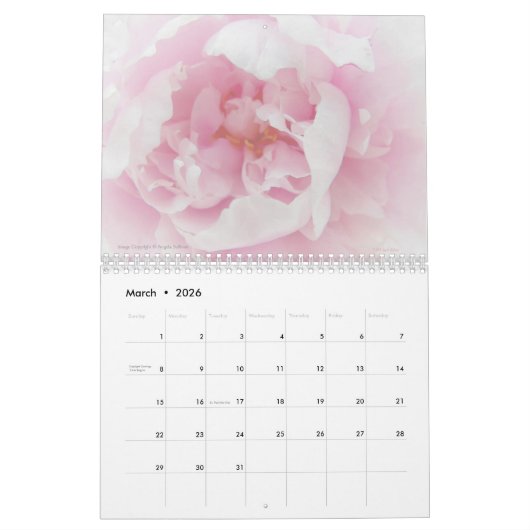 ピンクの花自然フローラ美しい写真 カレンダー (3月 2026)