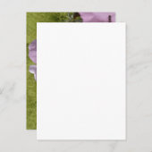 ピンクの花自然写真はがき ポストカード (正面/裏面)