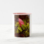 ピンクの花芽写真マグカップ ツートーンマグカップ (中央)