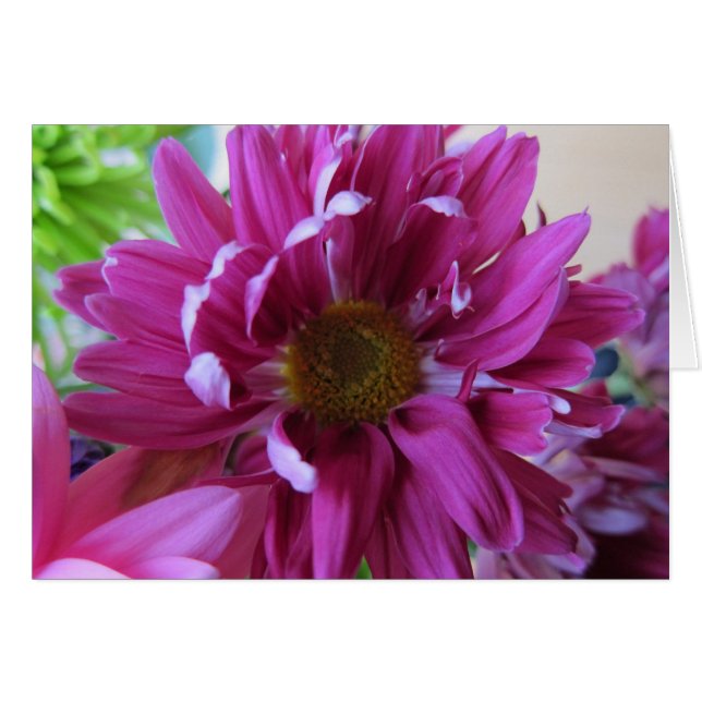 ピンクの花 (正面横)