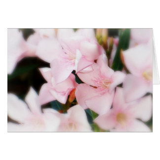 ピンクの花