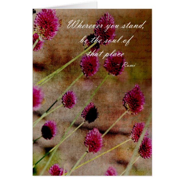 ピンクの花 (正面)