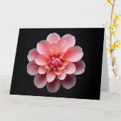 ピンクの花 カード (黄色い花)