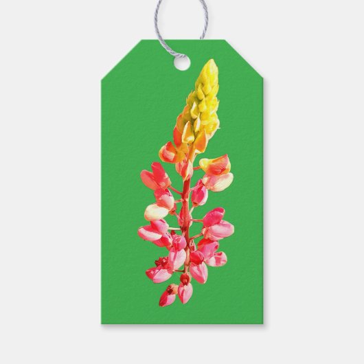 ピンクの花 ギフトタグ (正面)
