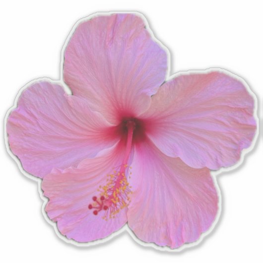 ピンクの花 シール (正面)