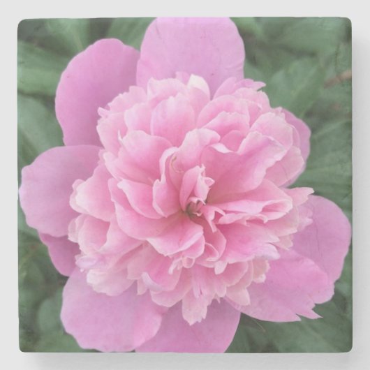 ピンクの花 ストーンコースター (正面)