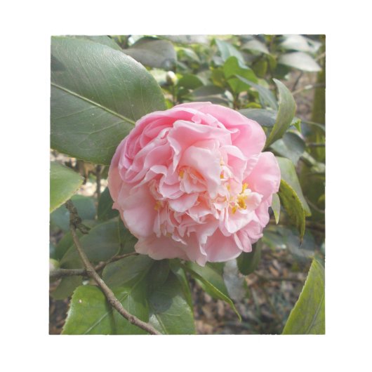 ピンクの花 ノートパッド (正面)
