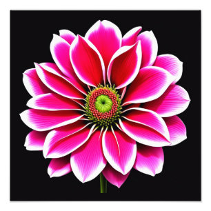 ピンクの花 フォトプリント