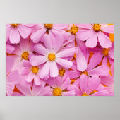 ピンクの花 ポスター (正面)