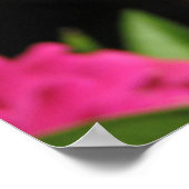 ピンクの花 ポスター (角)