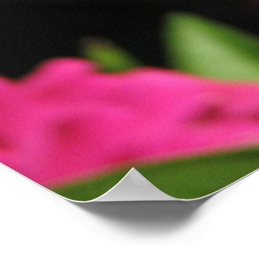 ピンクの花 ポスター (角)