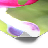 ピンクの花 ポスター (角)