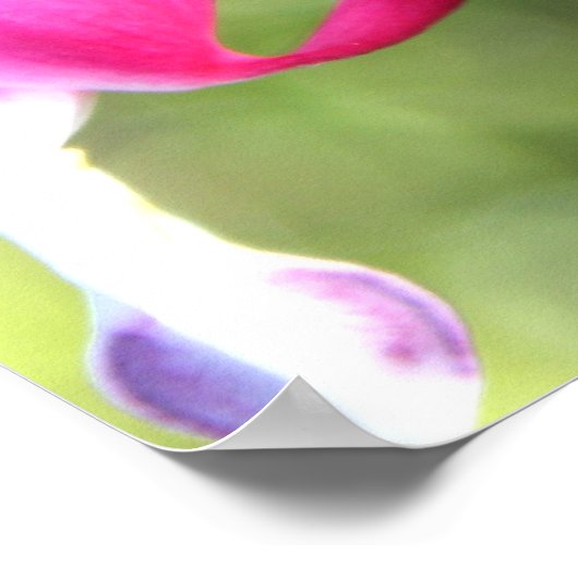 ピンクの花 ポスター (角)