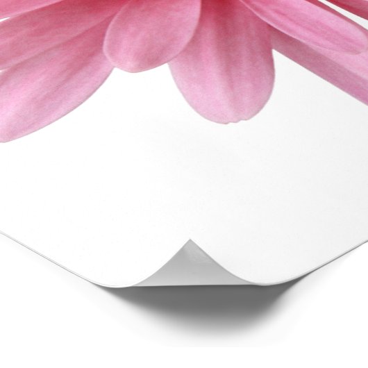 ピンクの花 ポスター (角)