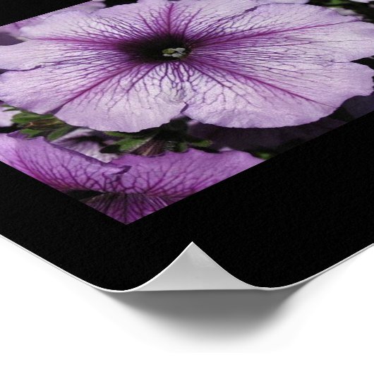 ピンクの花 ポスター (角)