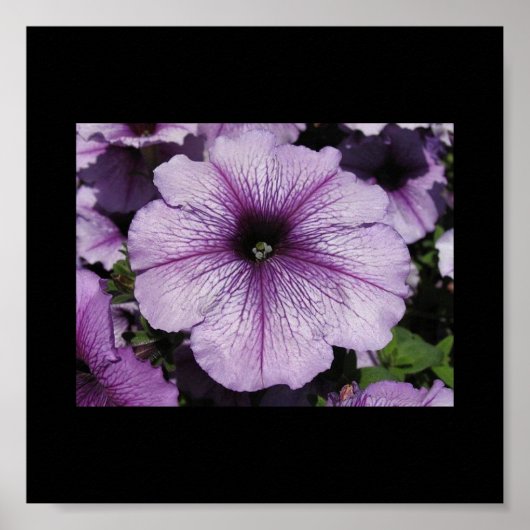 ピンクの花 ポスター (正面)