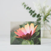 ピンクの花 ポストカード (スタンド正面)