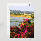 ピンクの花 ポストカード (正面/裏面)