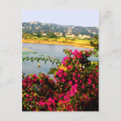 ピンクの花 ポストカード (正面)