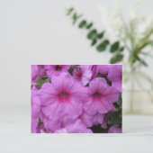 ピンクの花 ポストカード (スタンド正面)