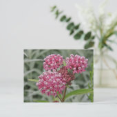 ピンクの花 ポストカード (スタンド正面)
