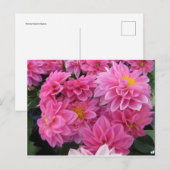 ピンクの花 ポストカード (正面/裏面)