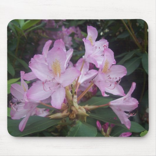 ピンクの花 マウスパッド (正面)