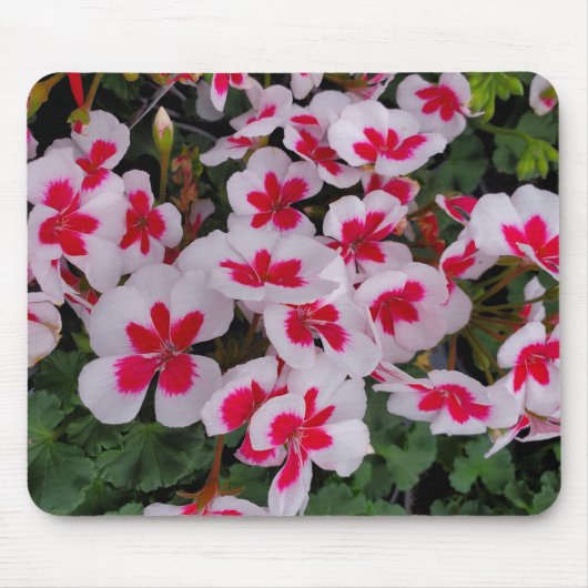 ピンクの花 マウスパッド (正面)