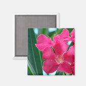 ピンクの花 マグネット (正面/裏面)