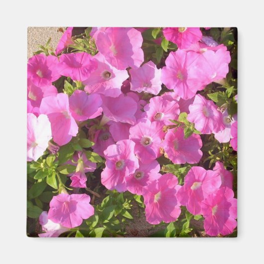 ピンクの花 マグネット (正面)