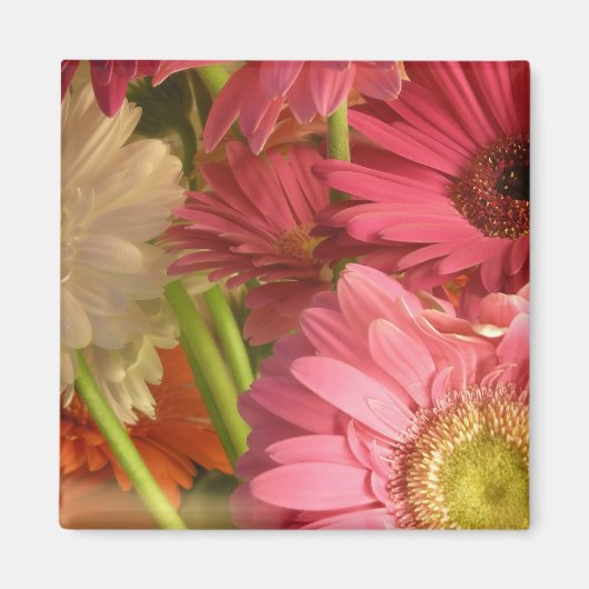 ピンクの花 マグネット (正面)