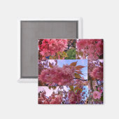 ピンクの花 マグネット (正面/裏面)