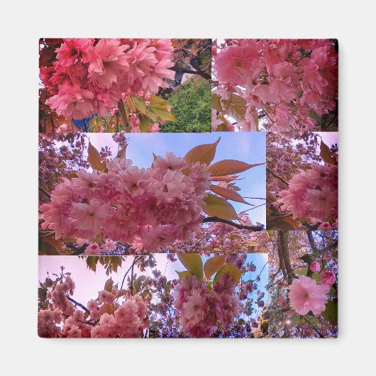 ピンクの花 マグネット (正面)