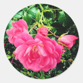 ピンクの花 ラウンドシール
