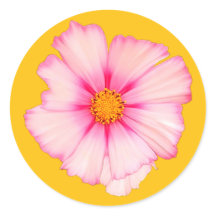 ピンクの花