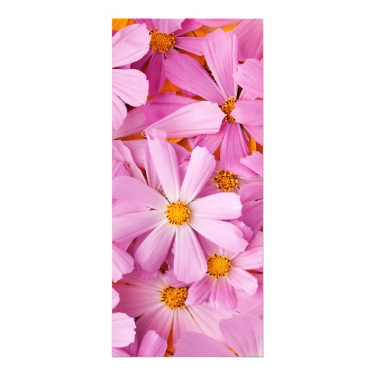 ピンクの花 ラックカード (正面)