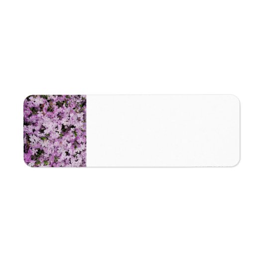 ピンクの花 ラベル (正面)