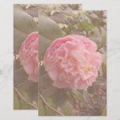 ピンクの花 便箋 (正面/裏面)